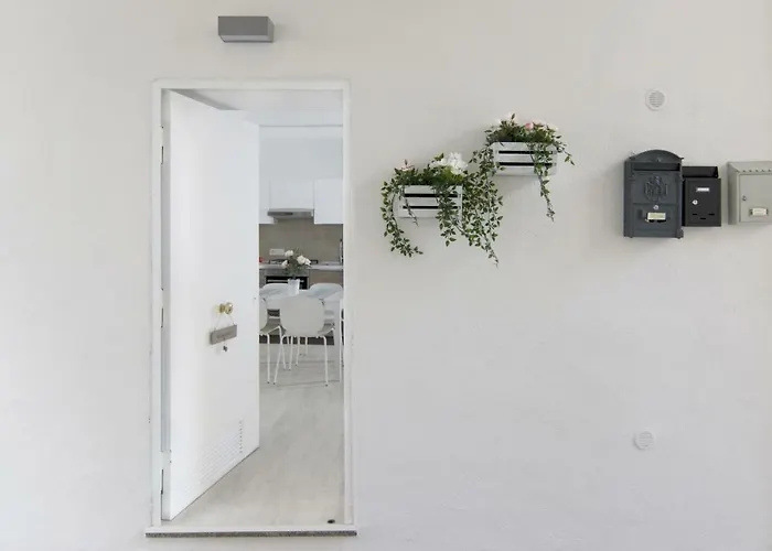 Domy House